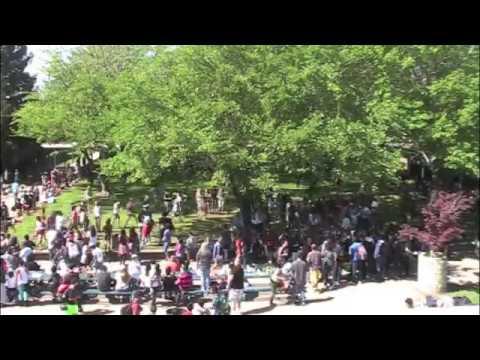 Line Dance Flash Mob Video