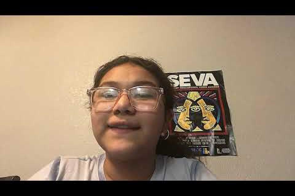 Distance Learning from a Student Perspective